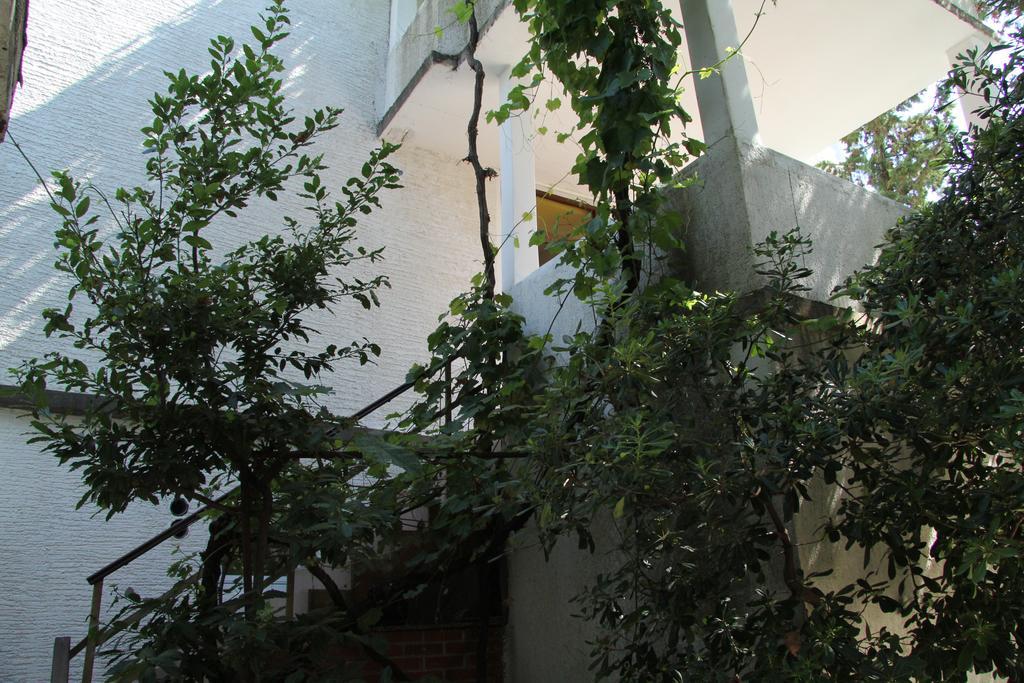 Novalja Guesthouse Economy Rooms Exterior foto